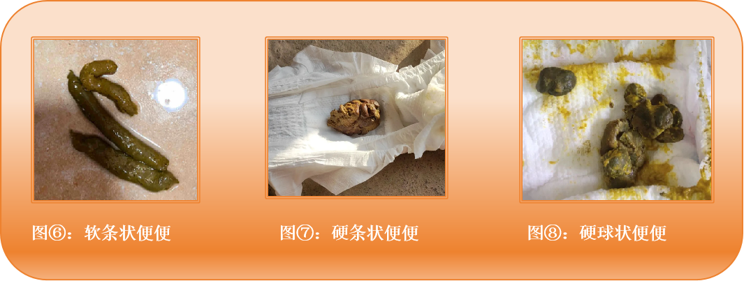 上千位宝妈留言800+真实便便图！超90%异常！如何看懂自家宝宝便便？只需这3步！ - 知乎