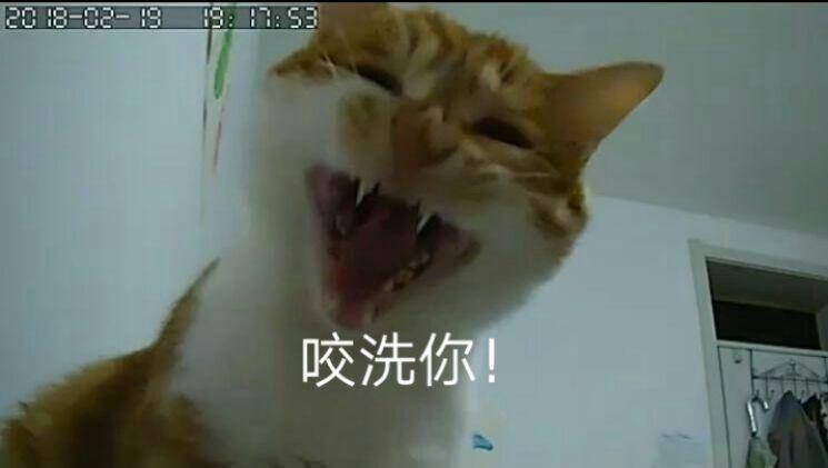 v2-66d0df1c10b9a37bd78f971e30a97a9f_r.jpg