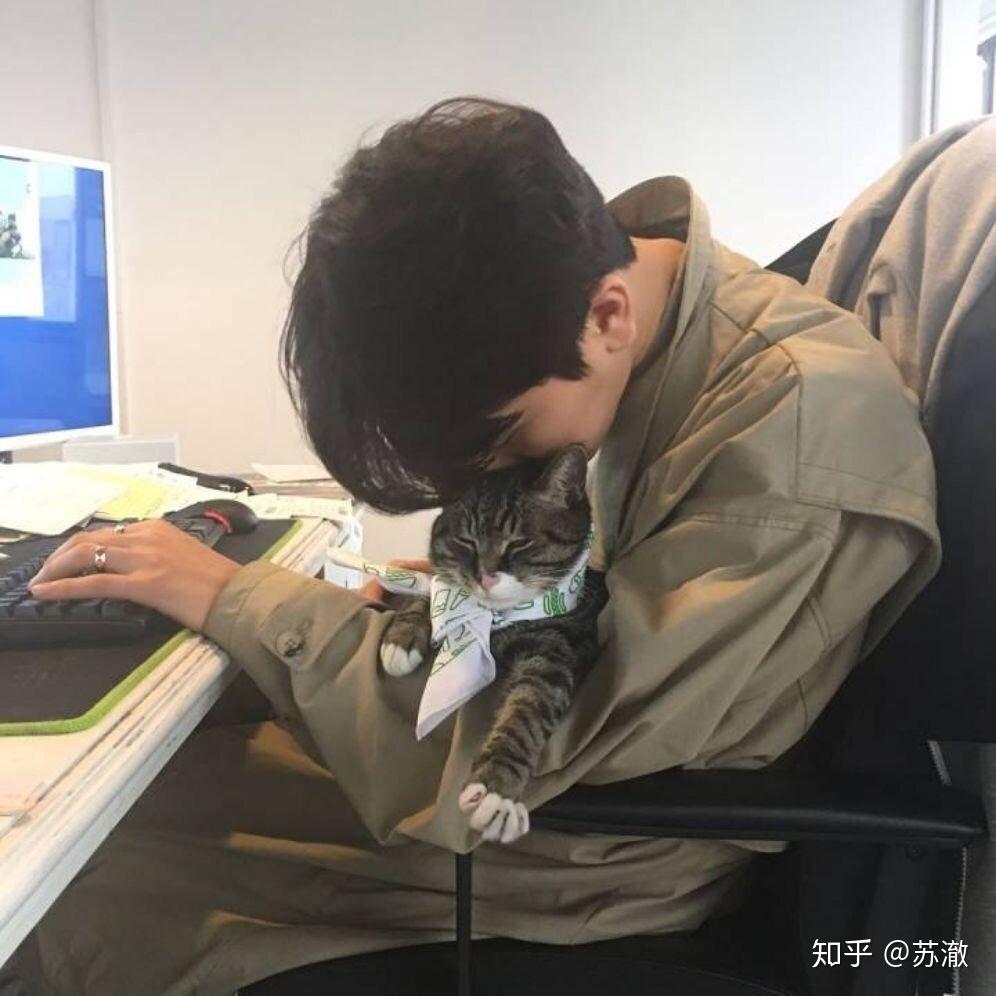 求一个暖有猫阳光的男头像谢谢啦
