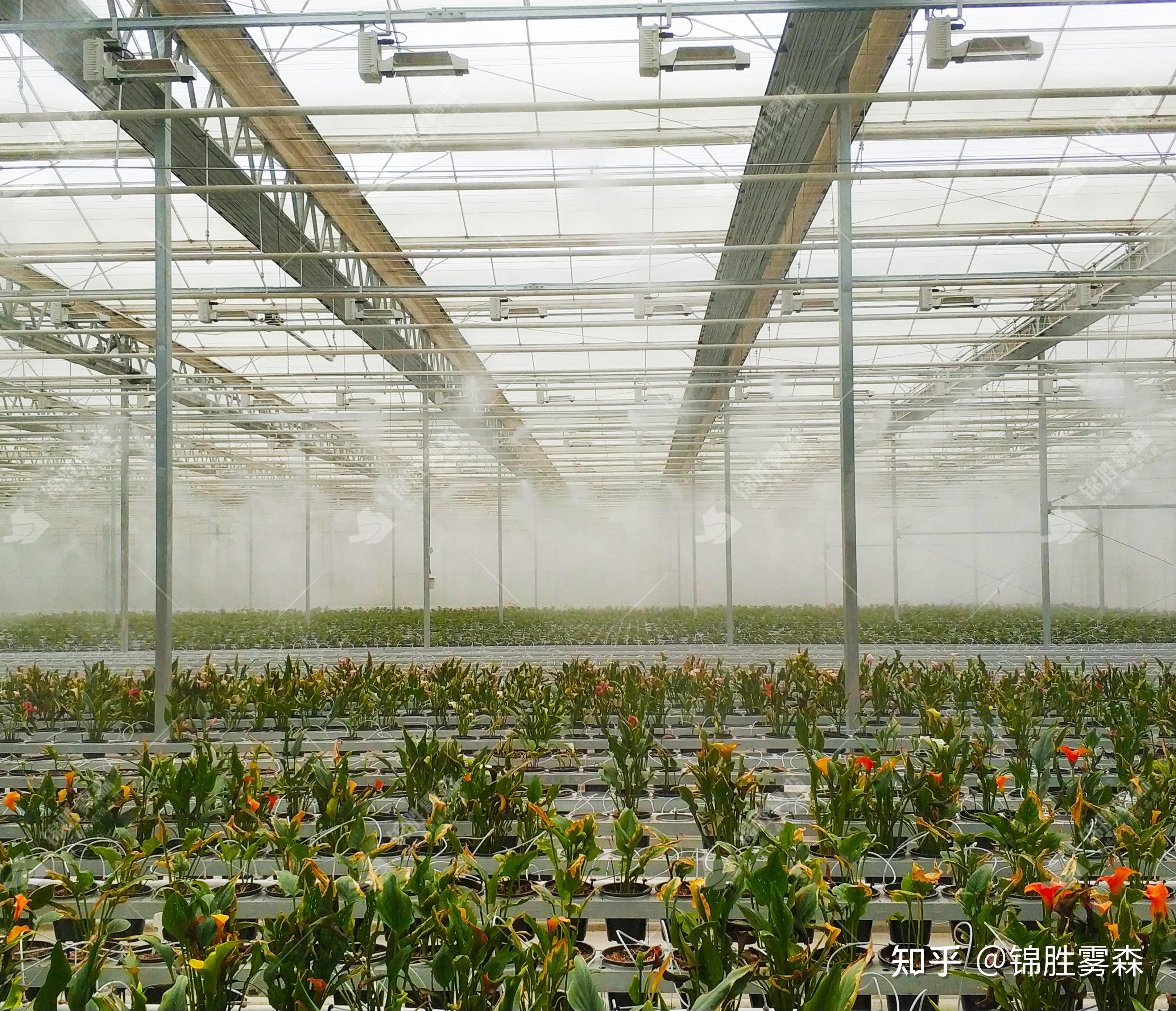 冬季大棚自动喷雾系统加湿降温打药——实现智慧农业 - 知乎