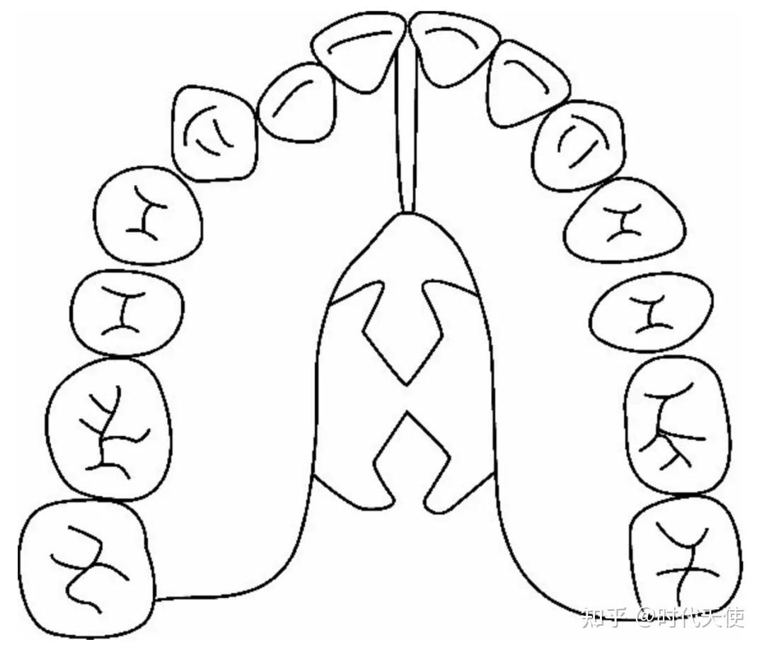 口呼吸与解决办法01 简单自测q1:你现在的舌头放在口腔哪里?