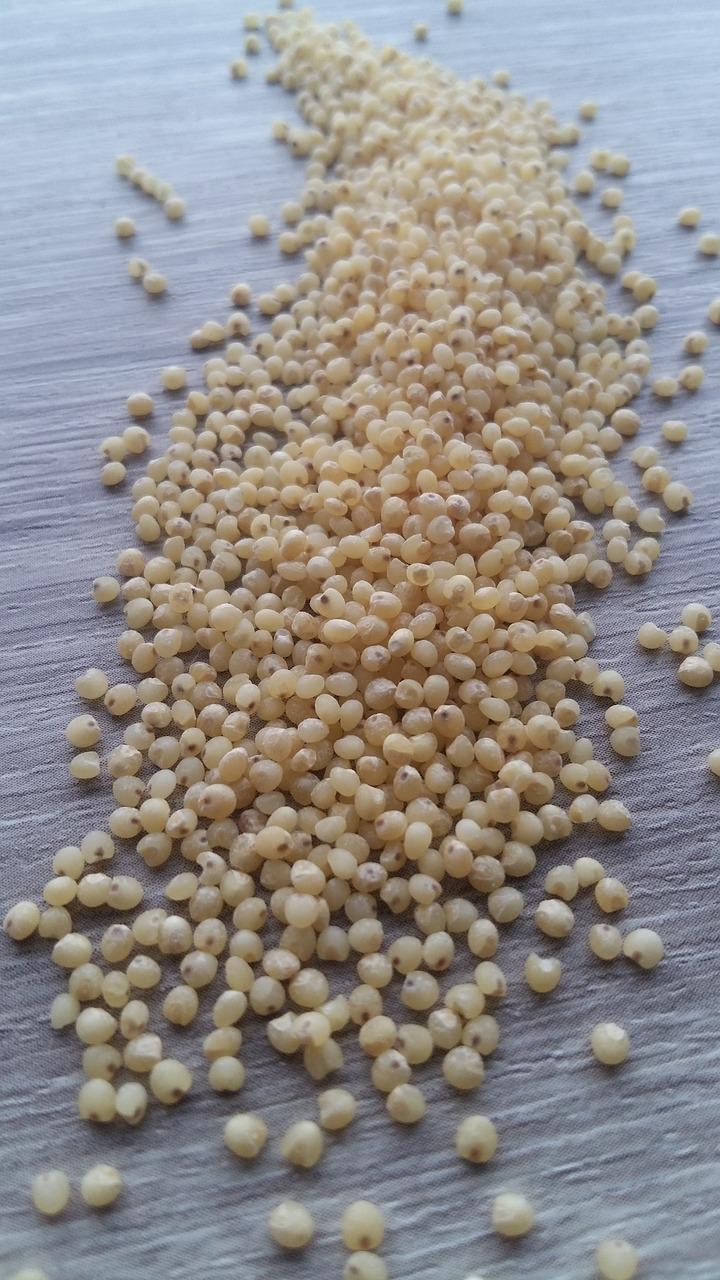 3. 填料市场价目