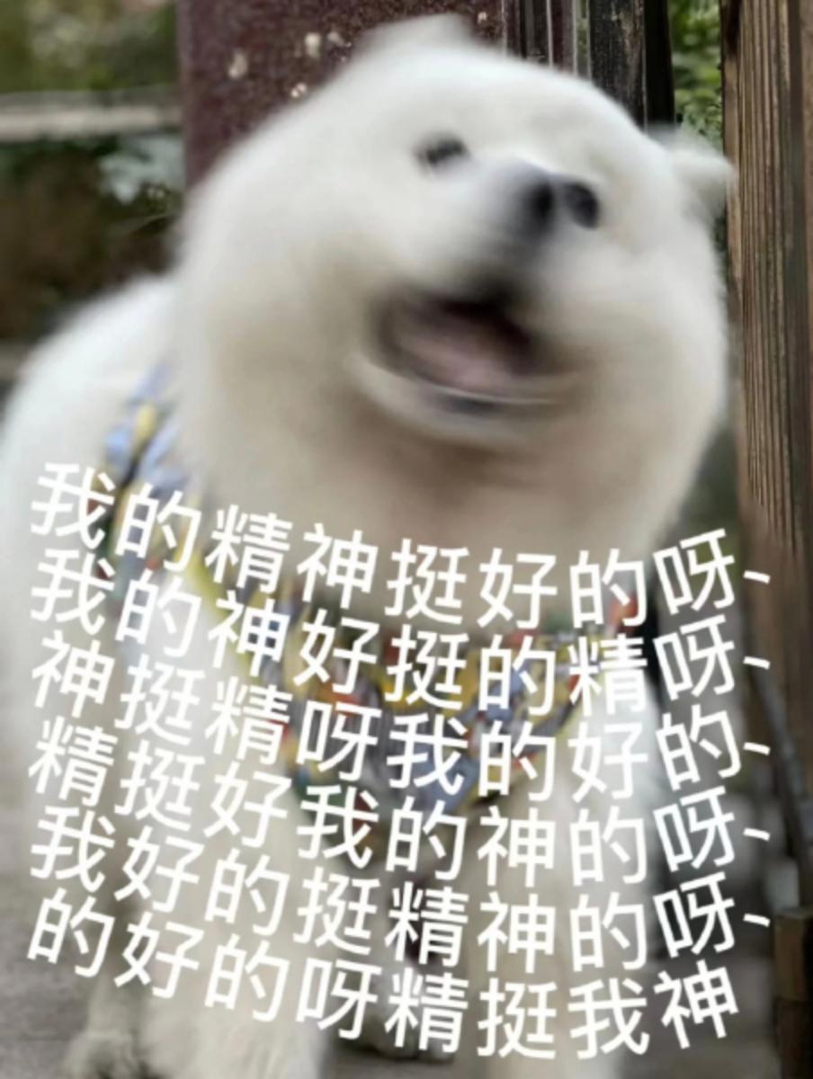 友友们,有没有发疯发癫的表情包? - 知乎