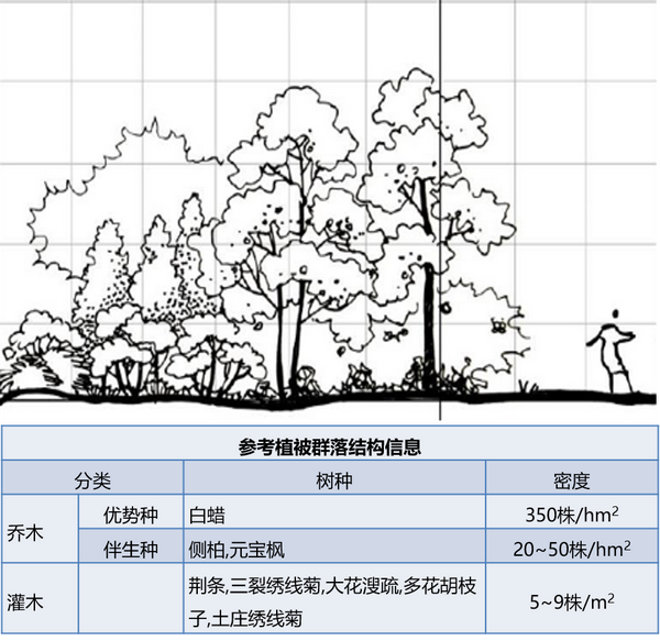 植物群落平面图立面图图片