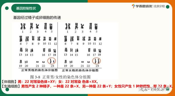 查中考地理生物成绩网站_中考地理查询生物成绩的网站_地理生物中考成绩查询