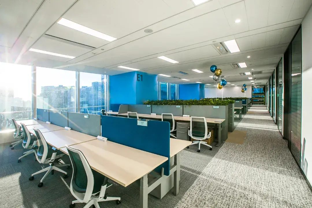 逛ibm办公室体验蓝色关怀