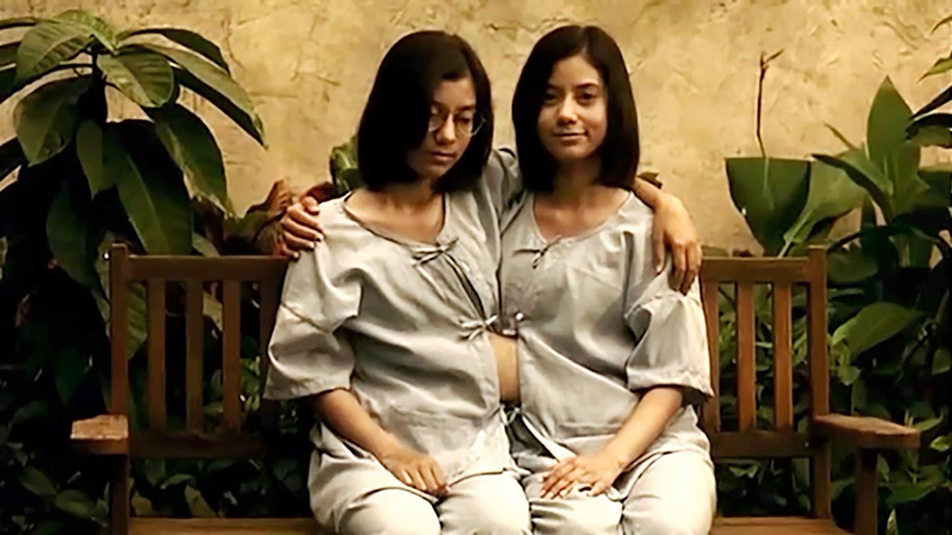 22 小时前 · 101 次播放双胞胎龙凤胎同卵双生子遗传遗传学遗传基因