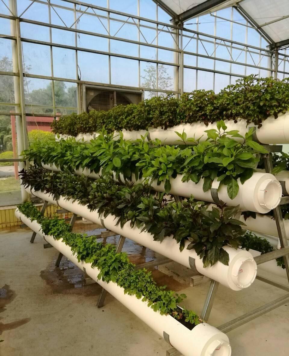 如何使用水管在阳台种花? - 知乎