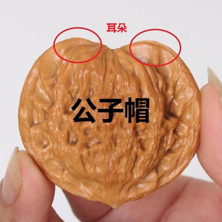 文玩核桃 原树吸血鬼官帽 32mm 文玩核桃历史之官帽核桃- 知乎