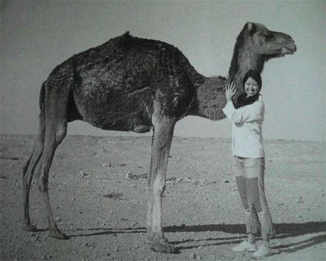 那个离去的三毛,她的故事你读了多少遍?