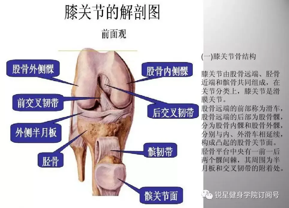导师分享珍膝要趁早