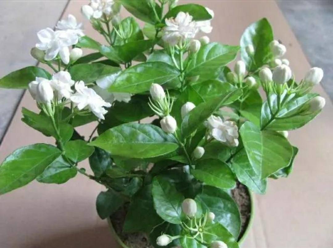 v2-670056de79491c06d5133bf7fd14f7f4_1440w.jpg?source=172ae18b