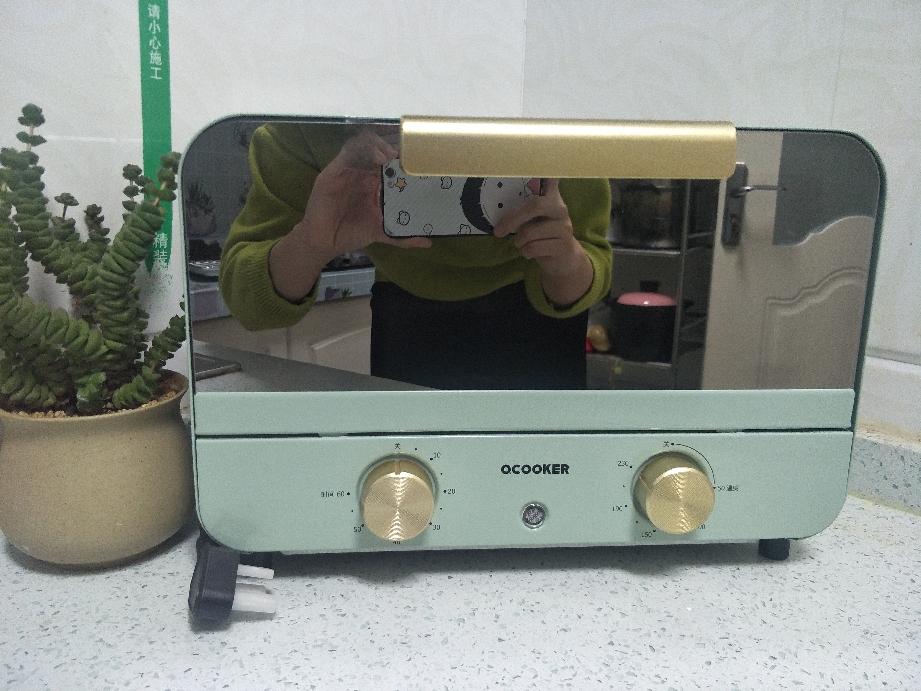 家用烤箱什么牌子好有哪些购买建议