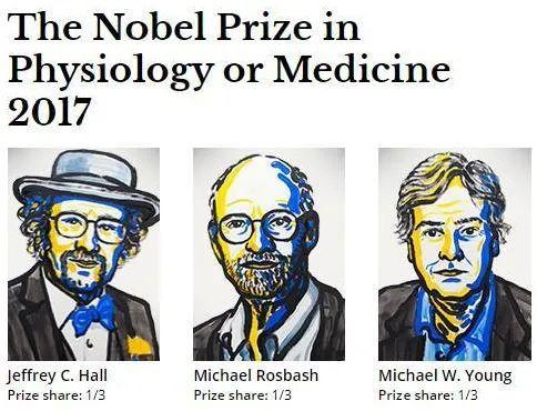 2012诺贝尔生理学奖(诺贝尔生理学奖获得者)