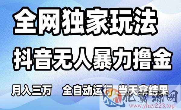 抖音无人暴力撸金_wwz