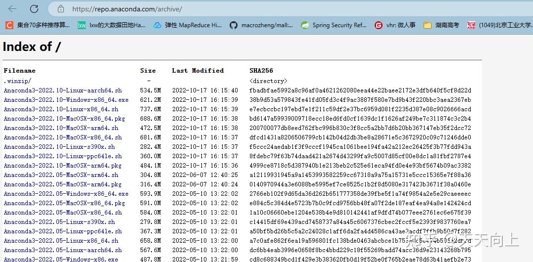 Open api flagai 