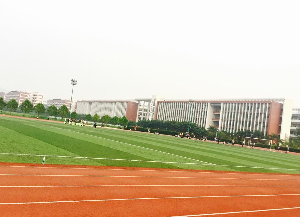 在广东金融学院就读是一种什么样的体验?