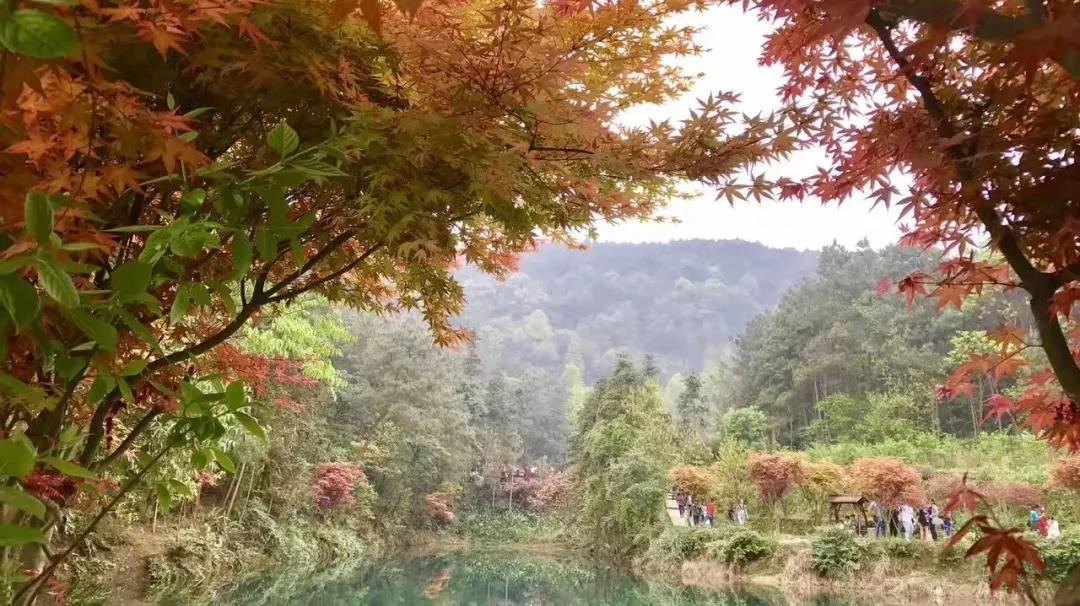 学校,果树采摘,钓鱼场等旅游度假休闲设施如需住宿九凤山上也有许多