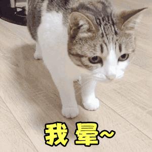 一脸懵的表情包动态蛤有点懵了这是什么情况容我想想