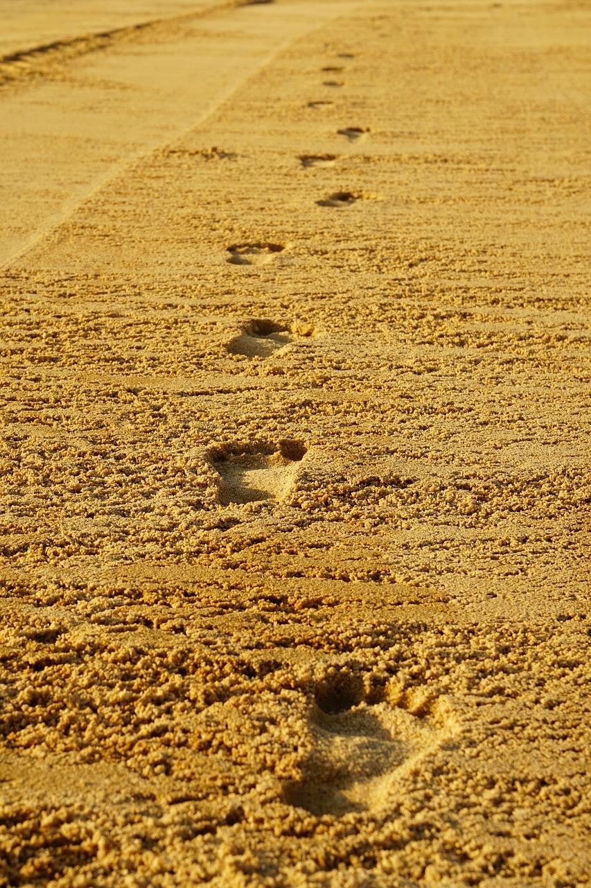 5. 地毯吸尘技巧