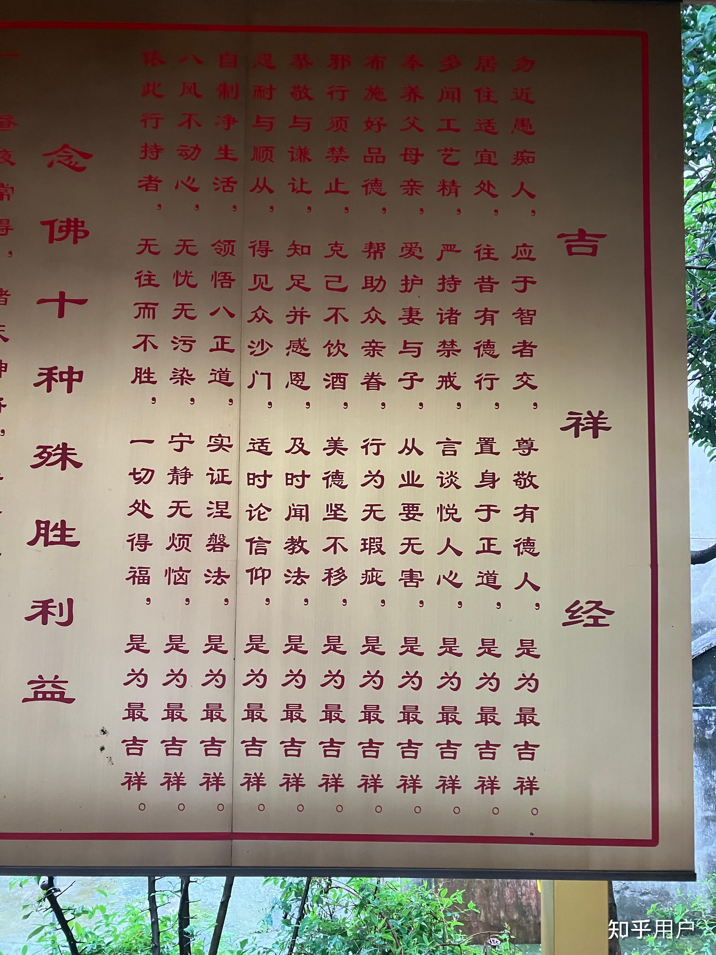 为什么信佛后家破人亡