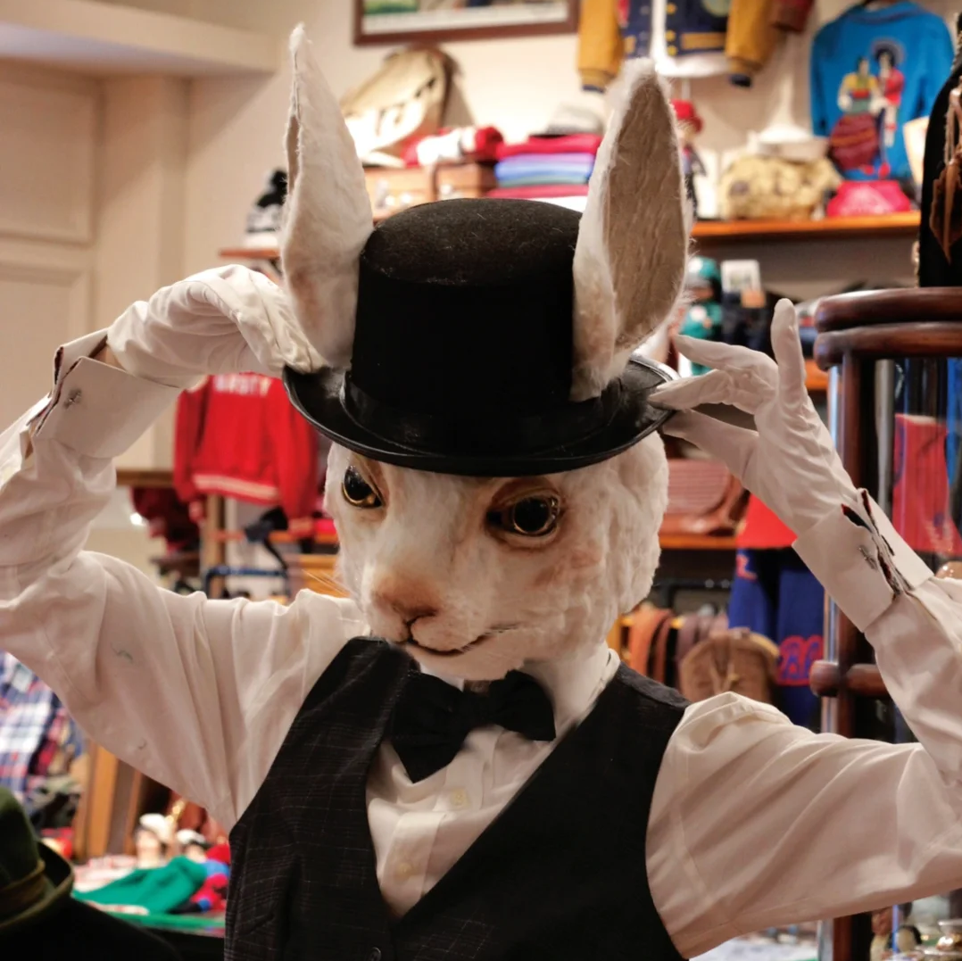 有没有适合男生的兔子头像呀