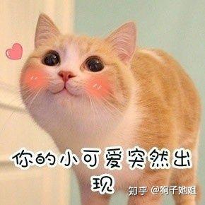 买火腿肠送显卡