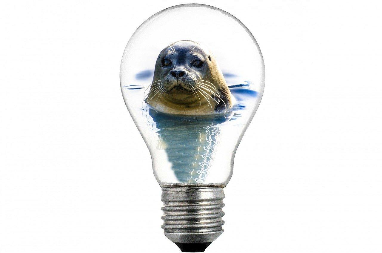 有什么灯泡形状的东西