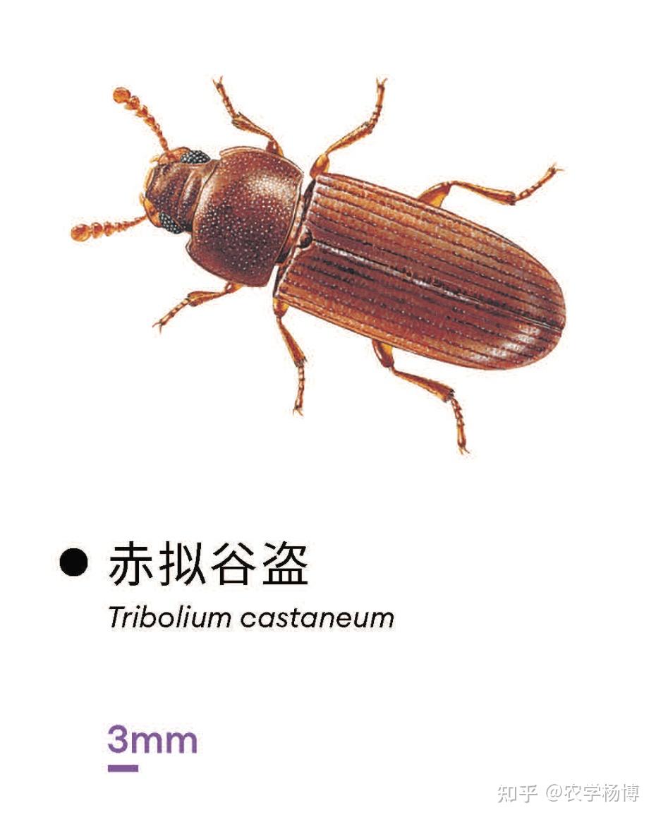 有没有认识的大佬?