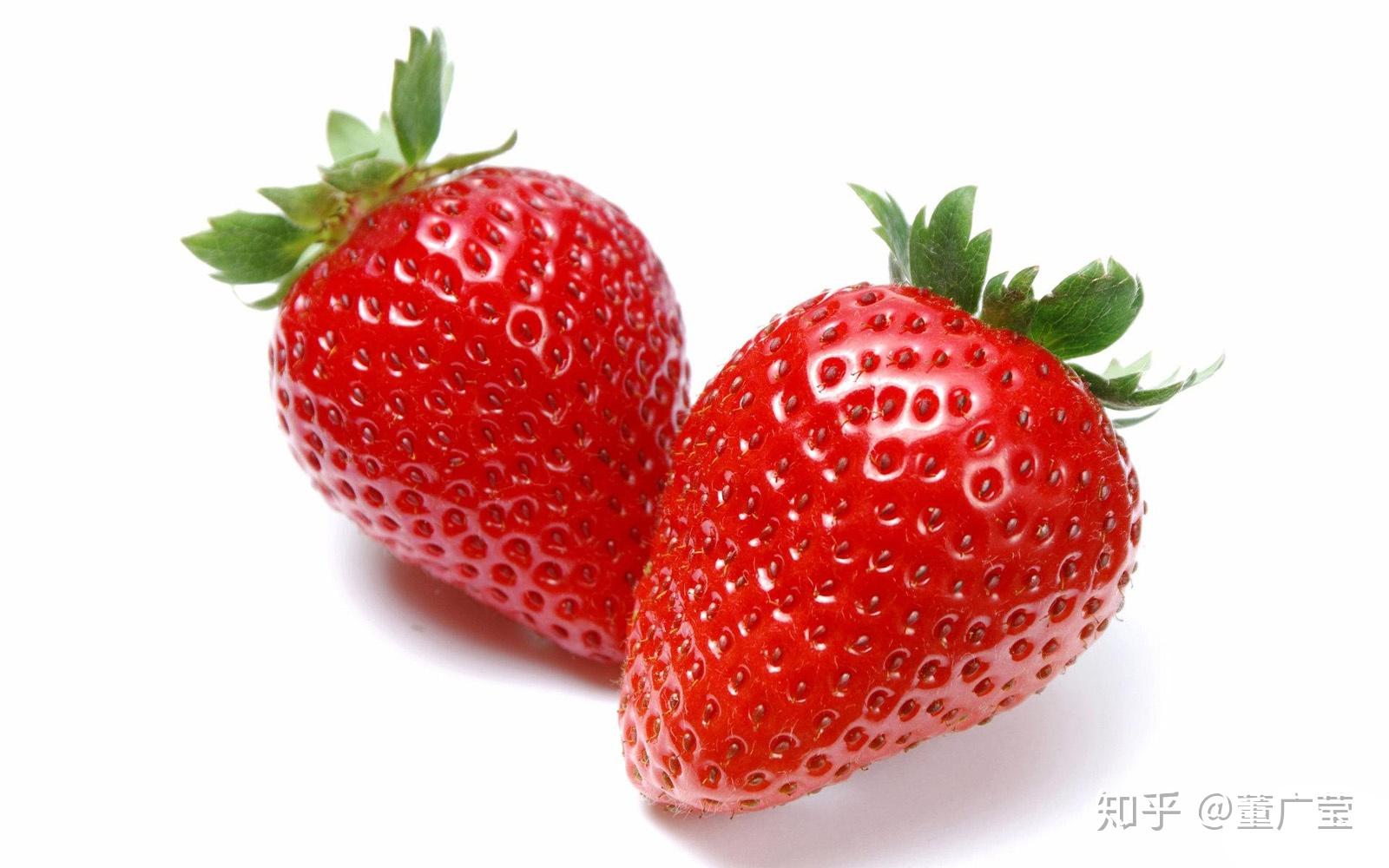 人人爱吃草莓，你知道草莓有哪些品种吗？24种常见草莓品种，中国20大草莓产地？哪里的草莓最好吃？ - 知乎