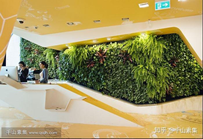 三,ku64牙医诊所植物墙 治愈系的前台设计