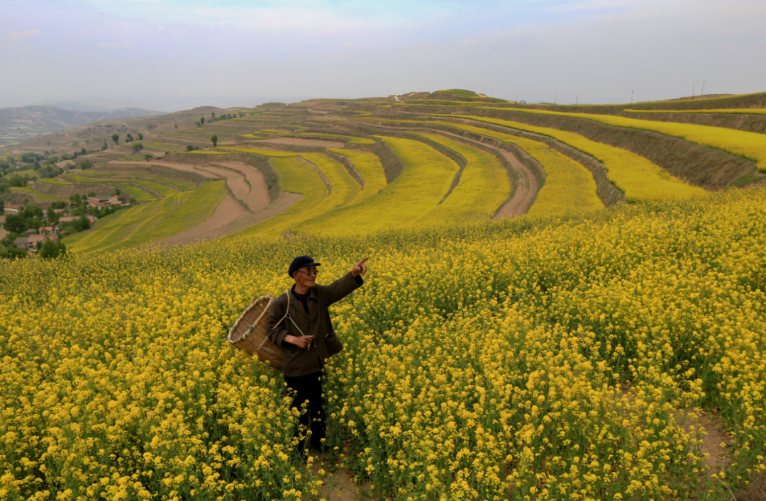 这里是会宁战地挺立的黄花果蔬和不屈的脊梁