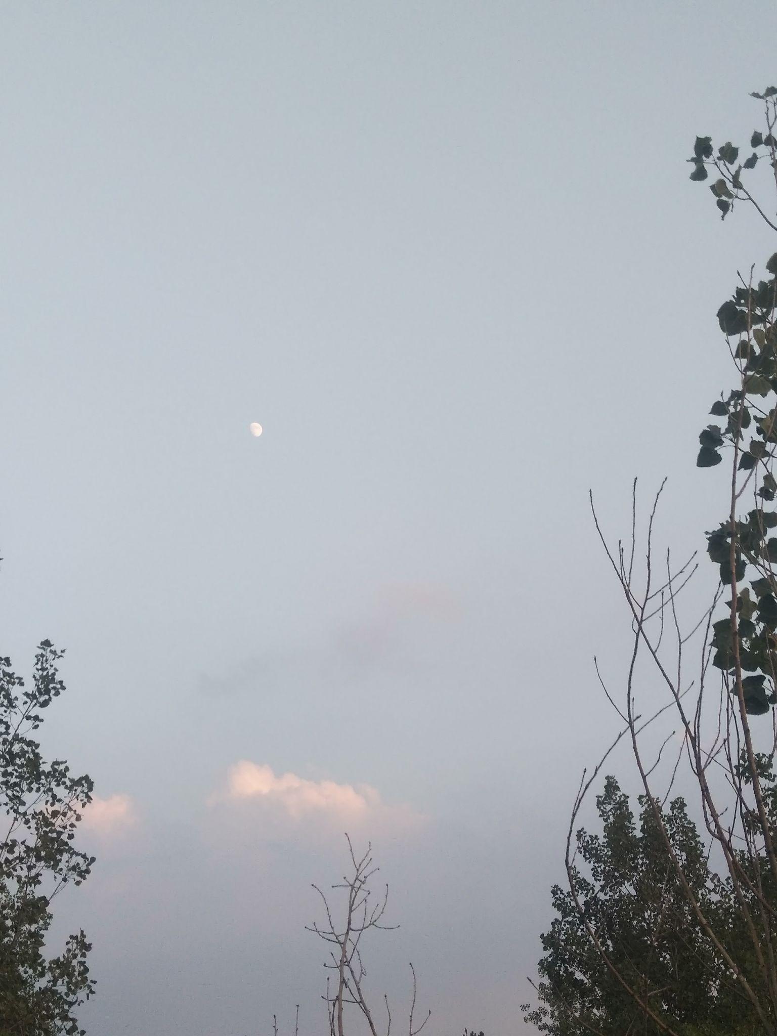 有沒有淺藍色底有白雲有彎彎的月亮的背景圖