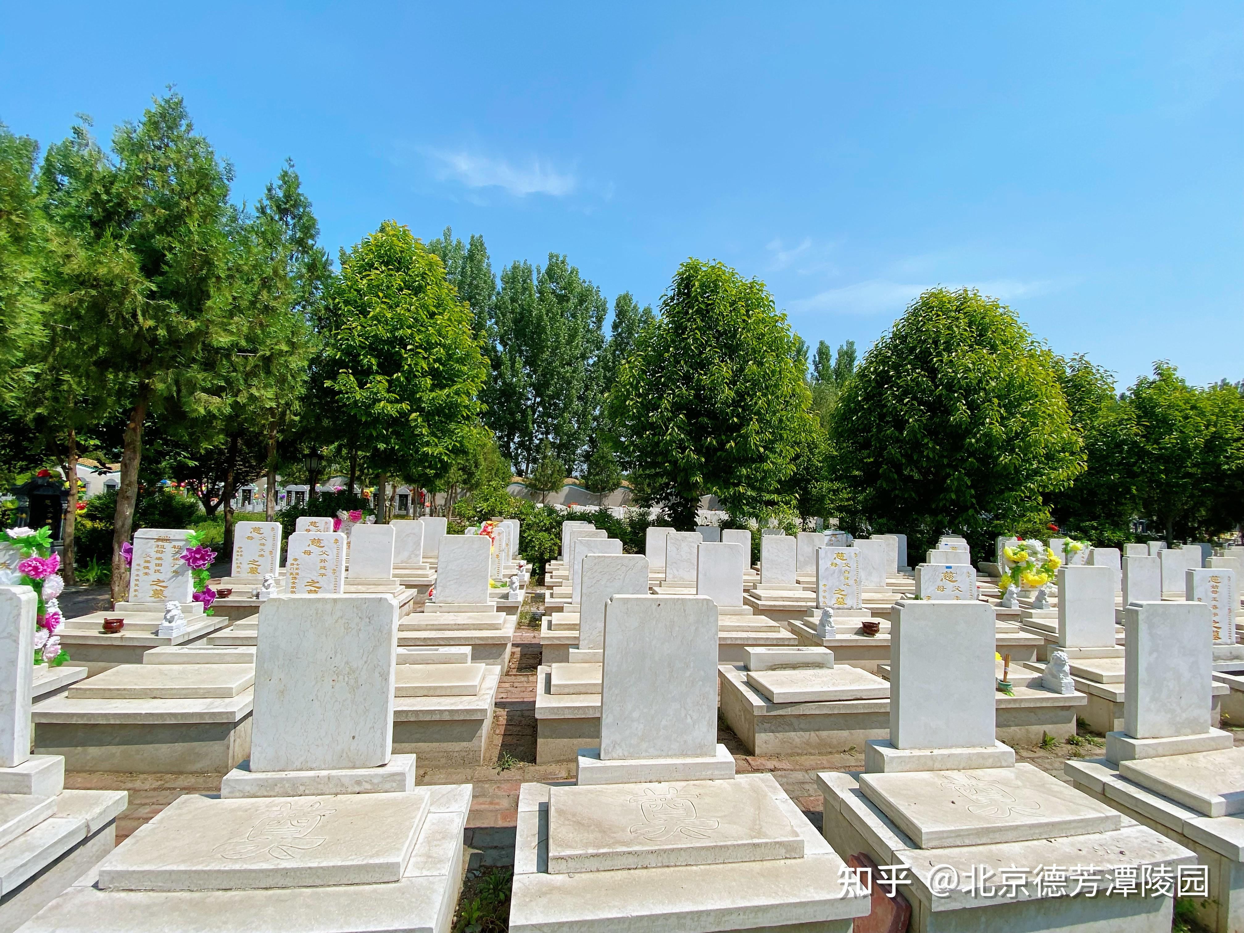 北京通州公墓墓地德芳潭陵園管理處直售非中介公司