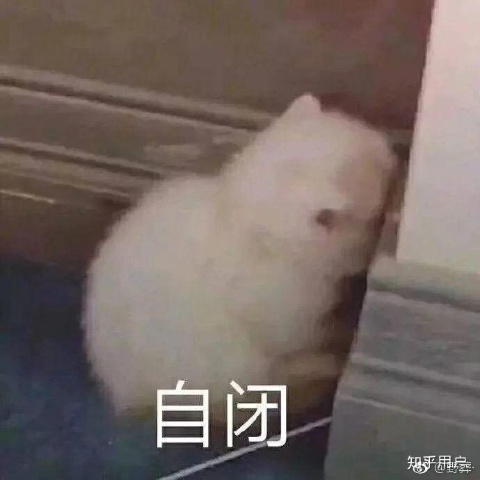 v2-67970e3c3c42b952c048f42be79be0ac_r.jpg