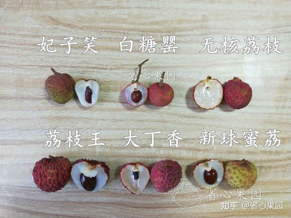 2022全国好吃的荔枝品种排名:看完这篇,买荔枝不再踩坑 - 知乎