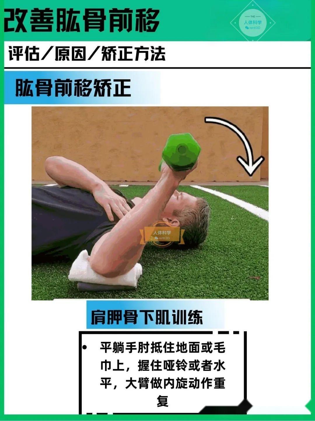 【肱骨前移】形成原因和自我改善方法 - 知乎