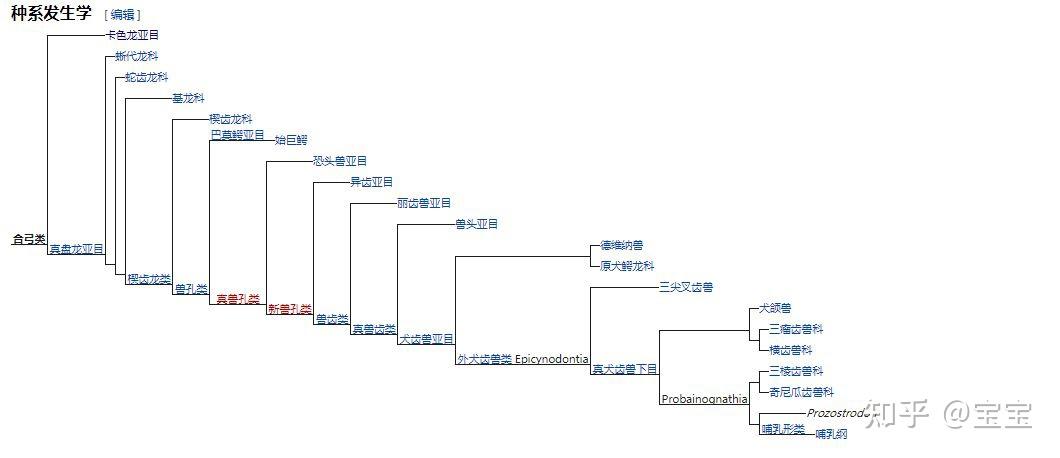 生物进化树整理 - 知乎