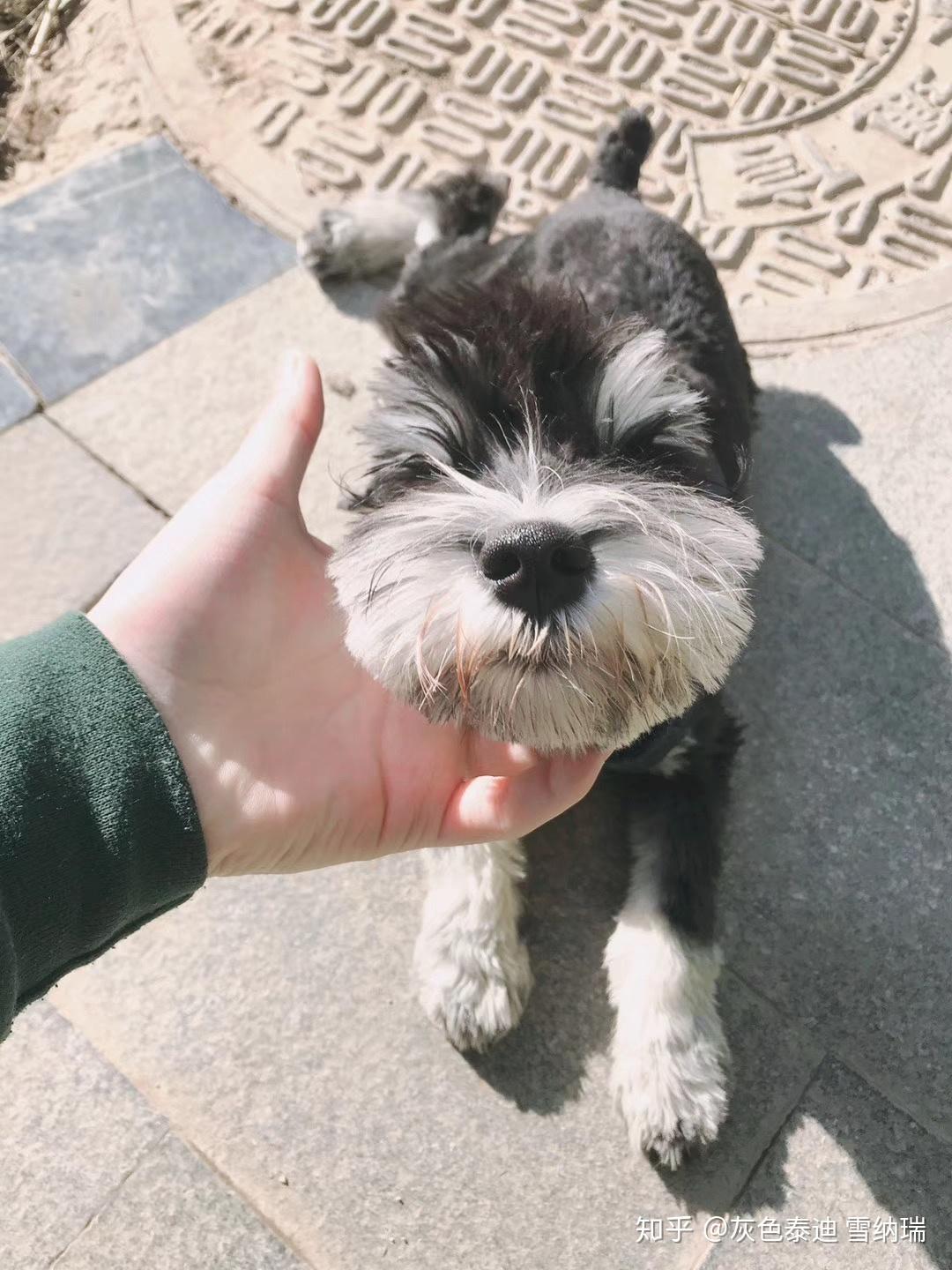 v2-67af6835877cb8800bf91ae12df7dd68_r.jpg
