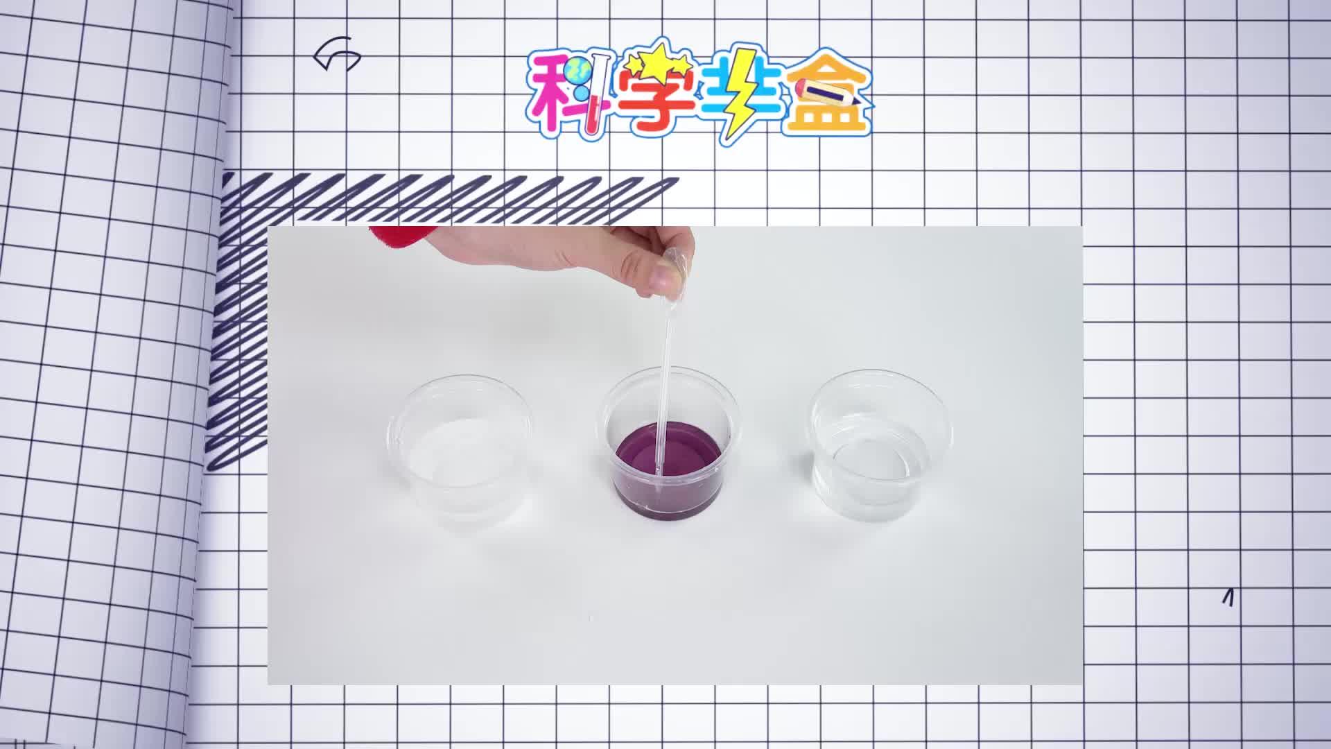 “神奇”的紫甘蓝--中国科学技术馆