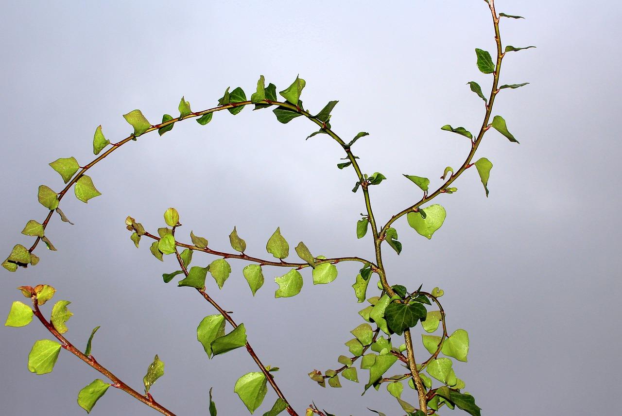 2. 判断是否可修复