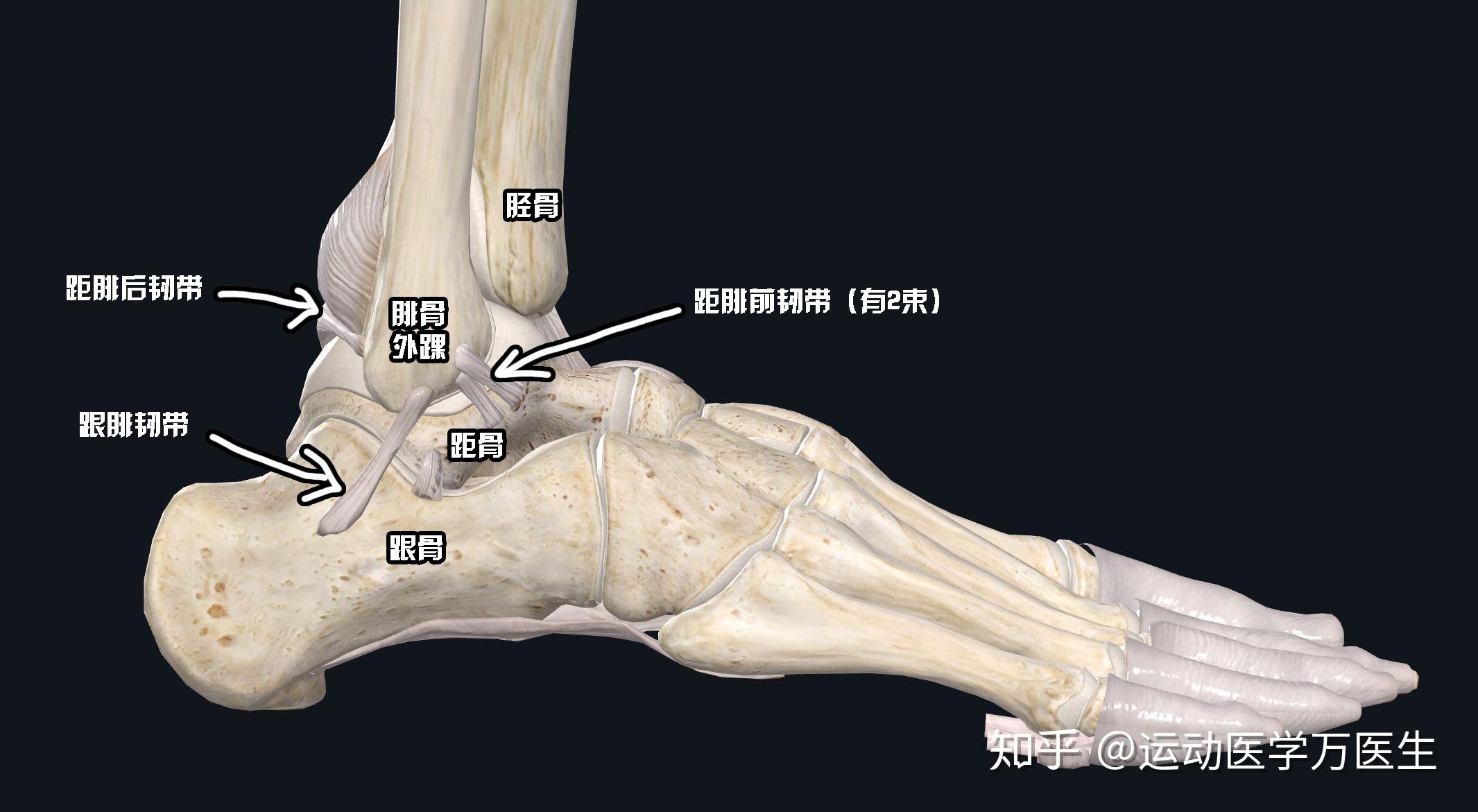 喜歡的男生腳踝韌帶撕裂他自己心情很不好我應該如何安慰