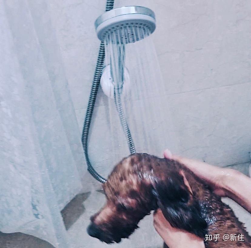 怎么可以错过(小家居用品有哪些)家里常用小物品,(图17) 怎么可以错过(小家居用品有哪些)家里常用小物品,(图17)