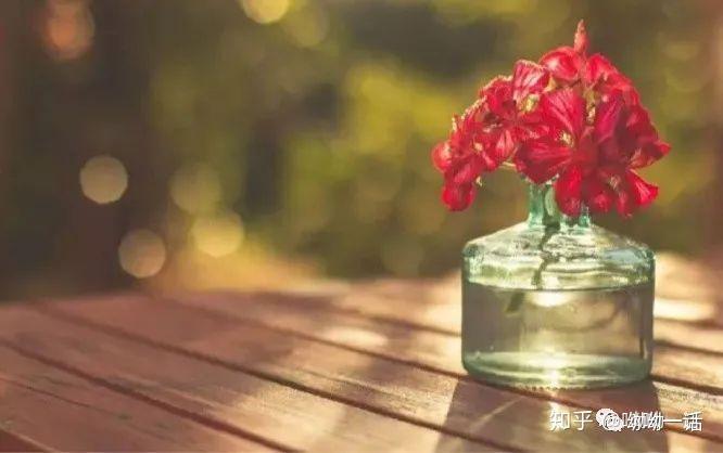 理想中的生活,大概就是修子的人生状态吧! 知乎