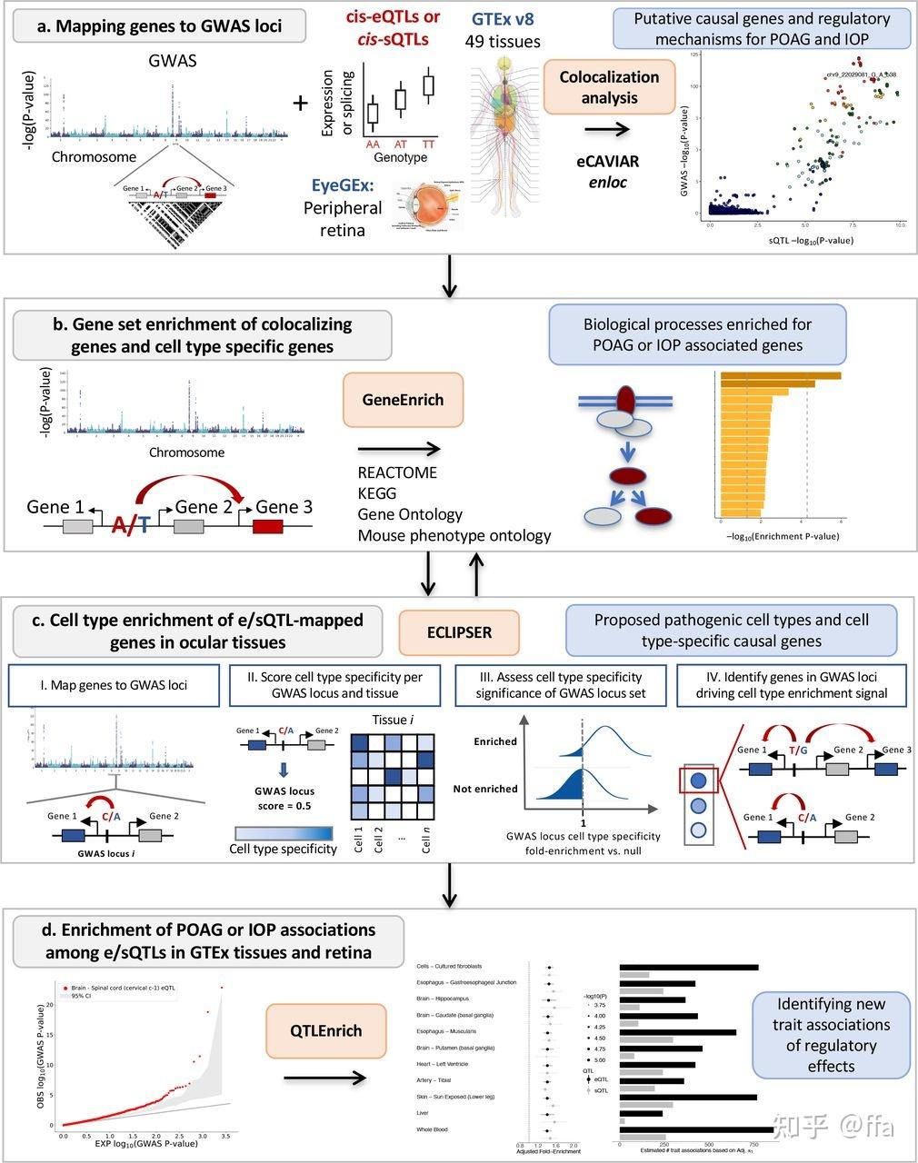 Gwas 4 gwas scrna 