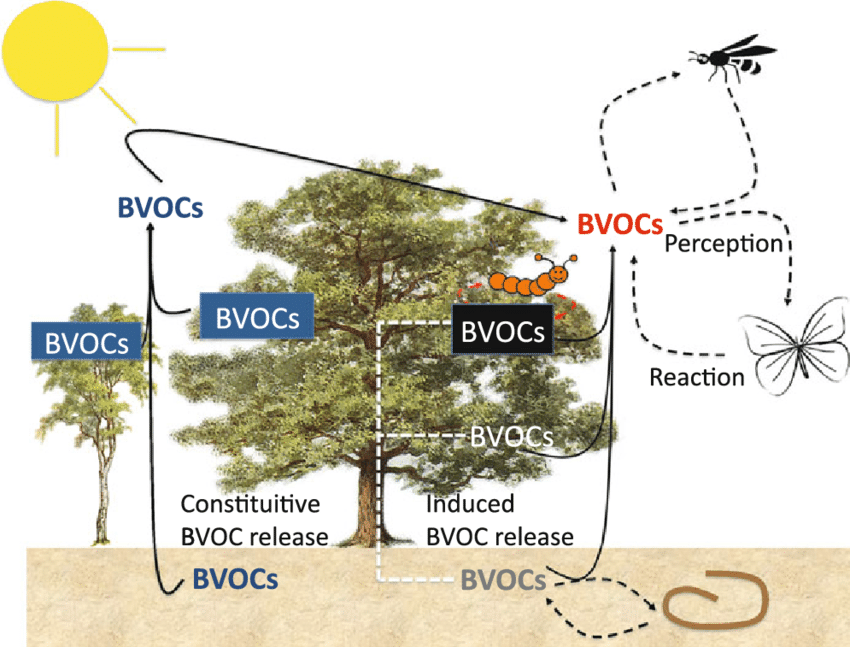 土地利用natureclimatechange耕地擴張引起的森林bvocs減少可減緩氣候