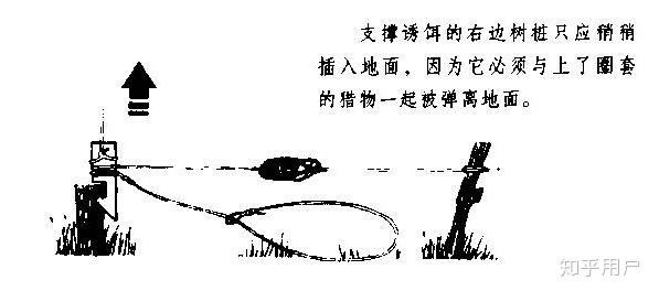 野外生存时如何制作陷阱机关之类的捕猎小动物有没有有关制作陷阱机关