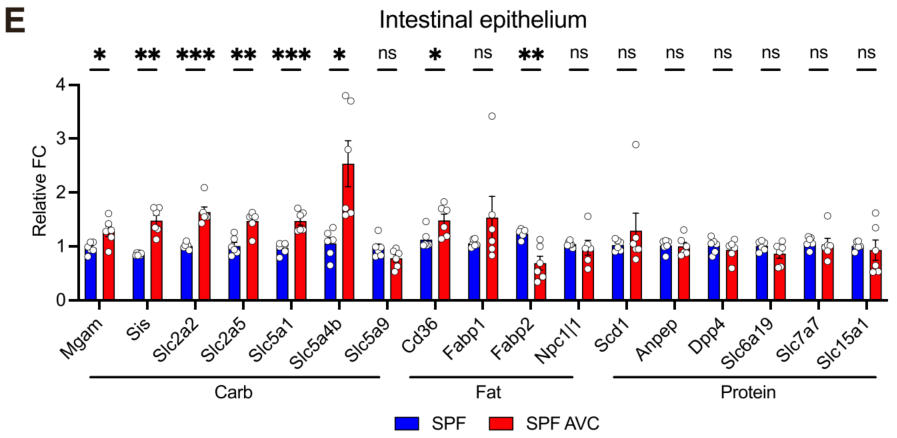 《Cell》子刊重磅：东部战区总医院李维勤团队揭示肠道病毒组在碳水化合物代谢中的关键作用 - 知乎