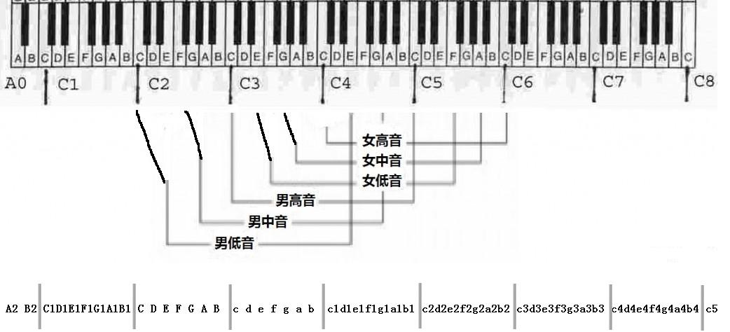 声部构成与发声位置的联系