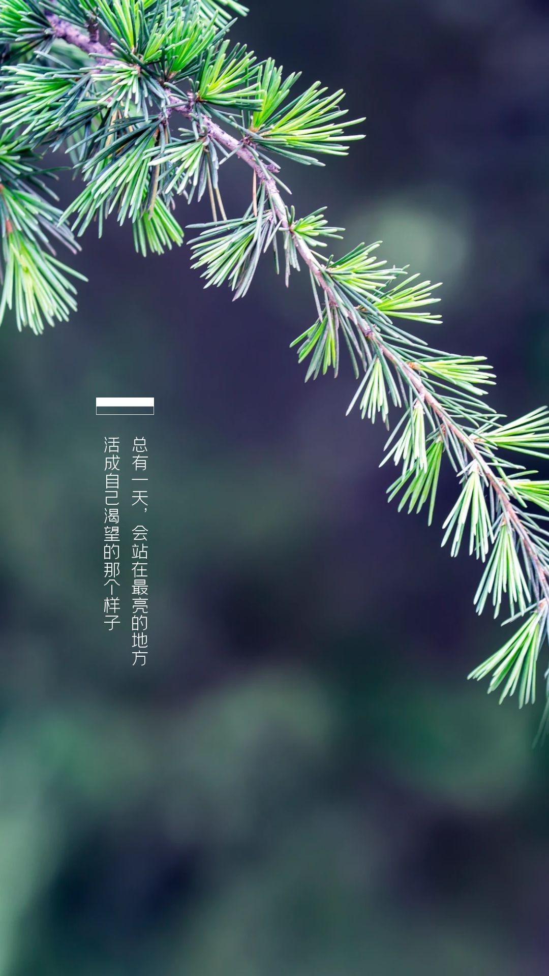 1080_1920竖版 竖屏